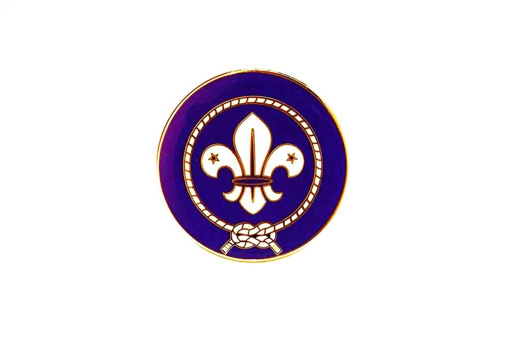 Pin Flor de Lis 25mm