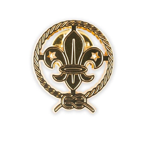 Pin Flor de Lis 20mm Dorado